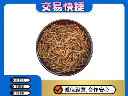 漳州龙海市回收散虫草